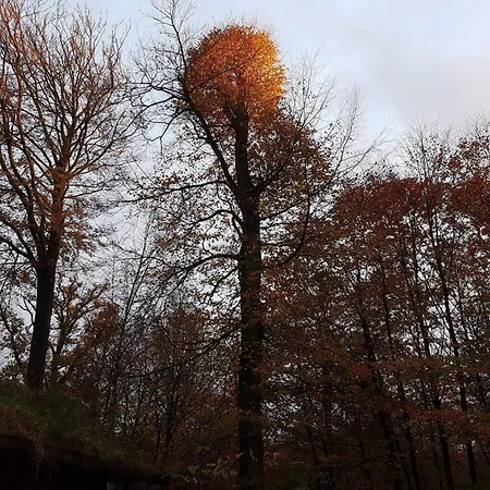 Panoramic Retreat In Andkaer Vig - By Traum Dom wakacyjny